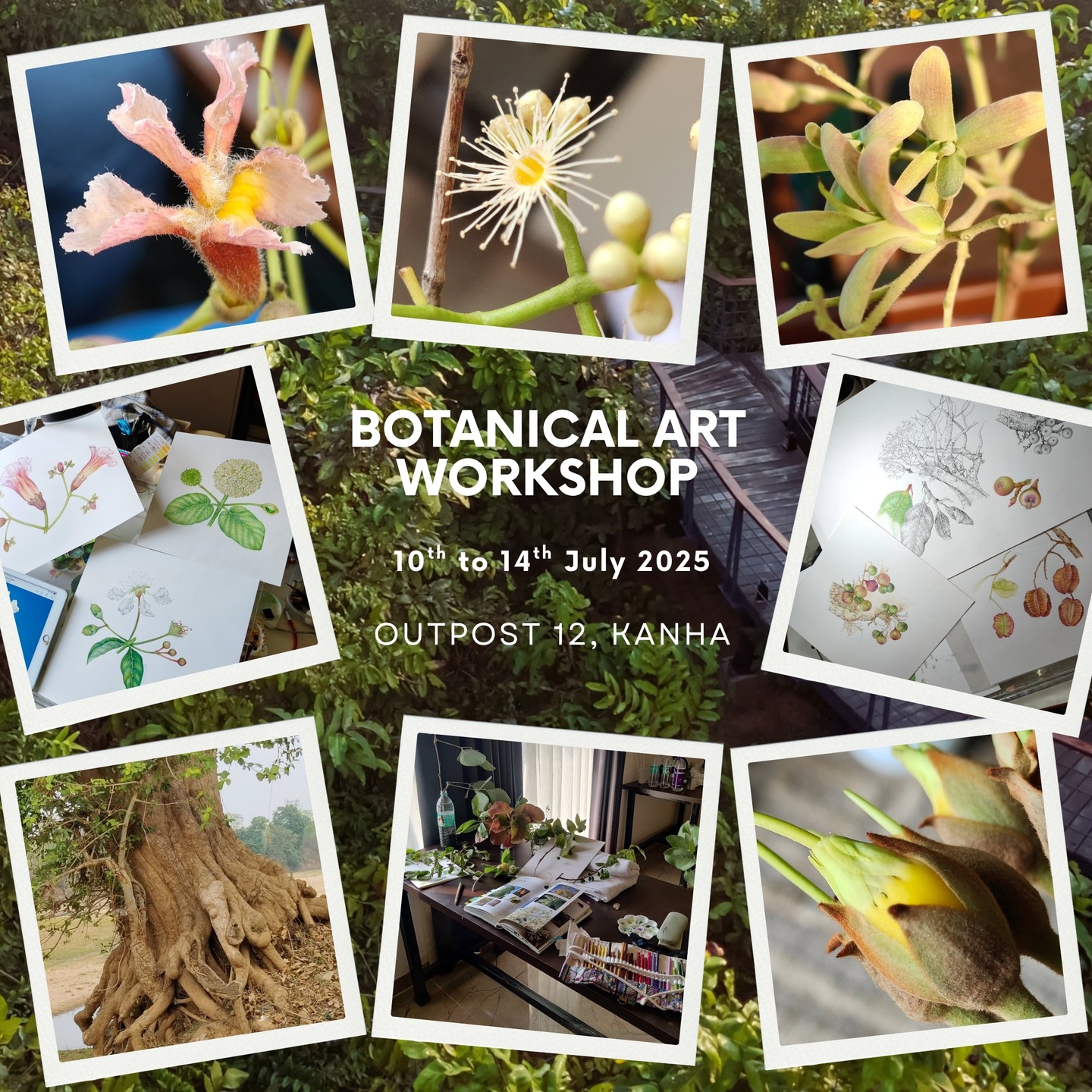 Botanical Art Workshop 2025
