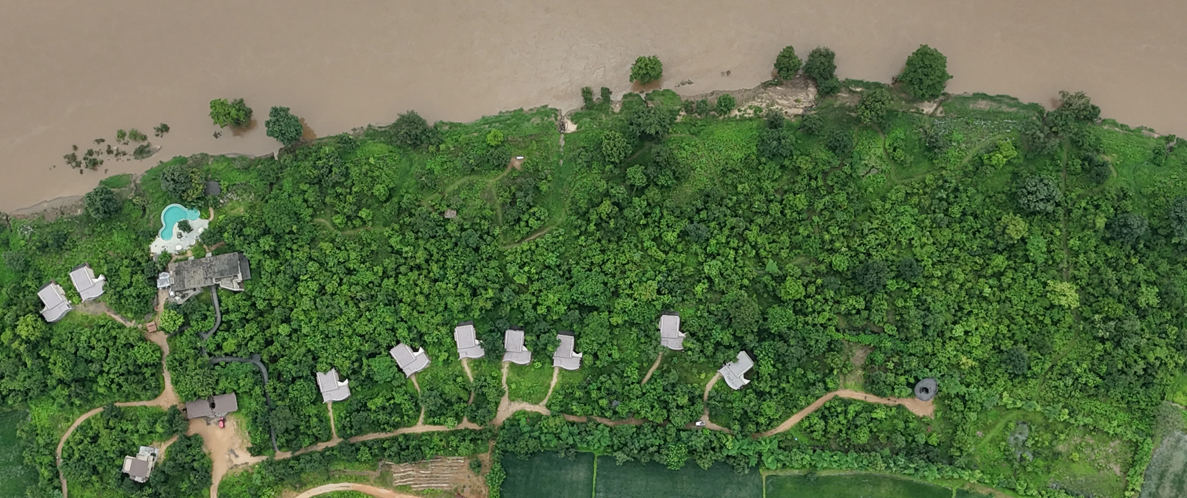 Where the Forest Comes First