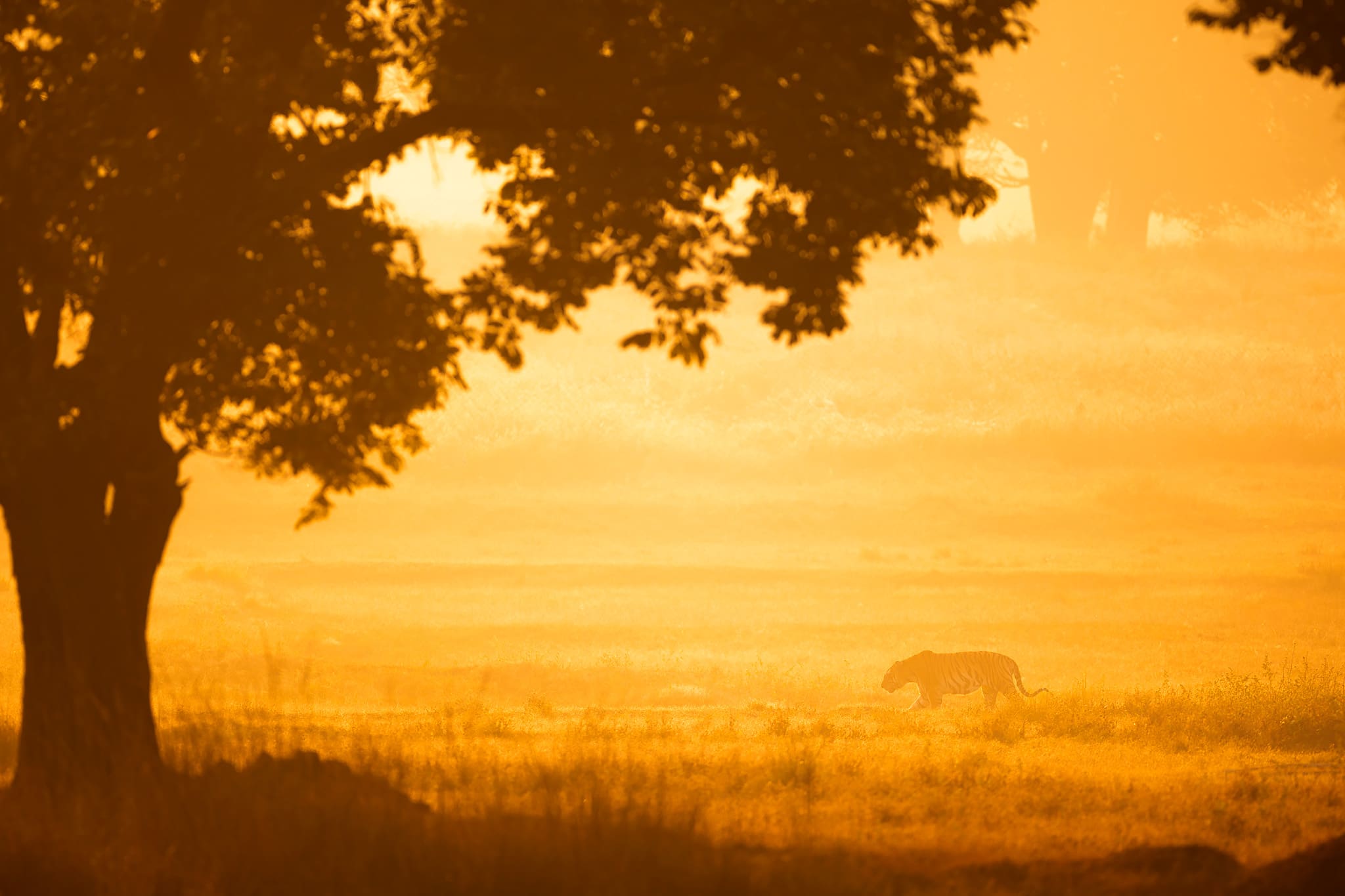 Winter Light Atelier 2025